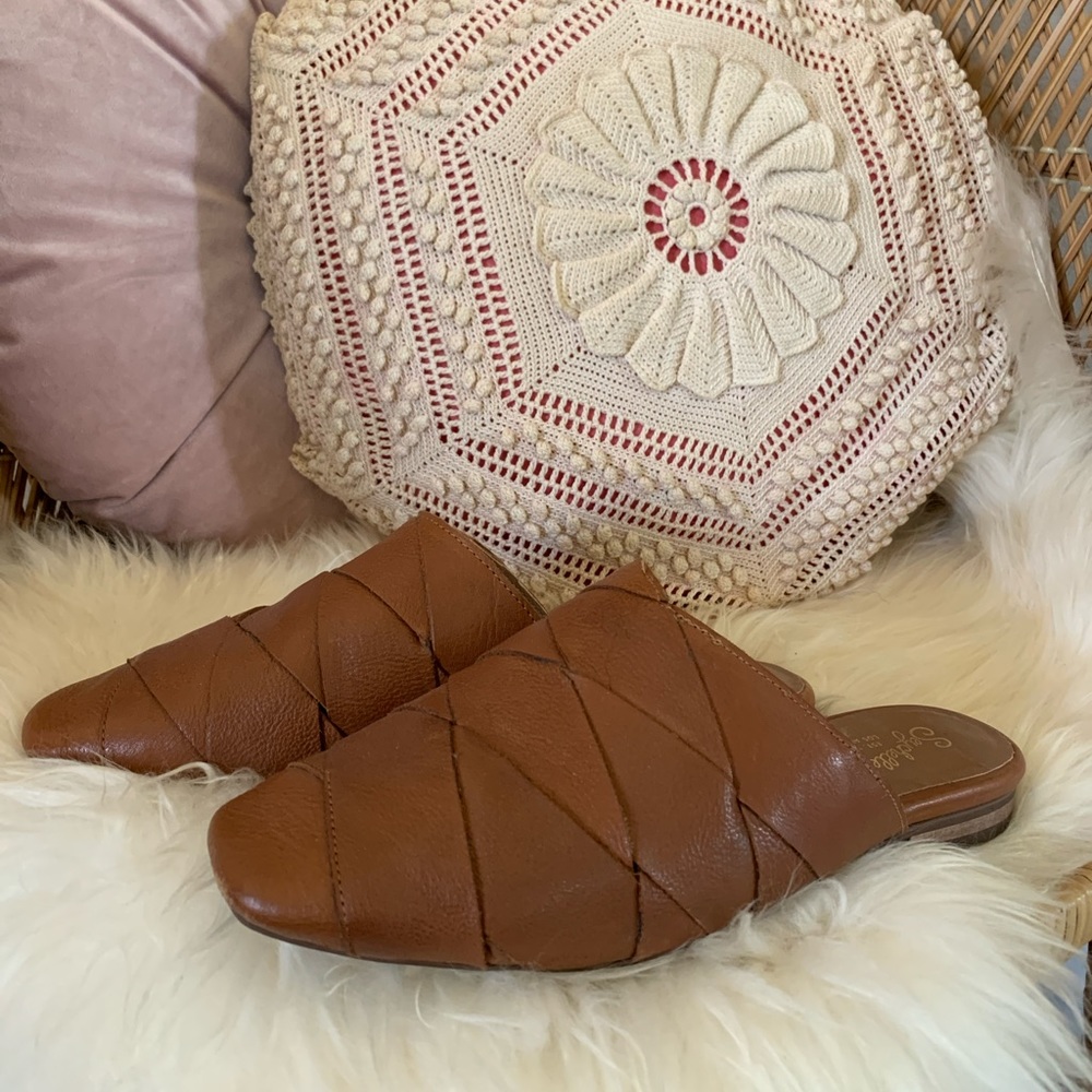 “To Die For” Mule Flats